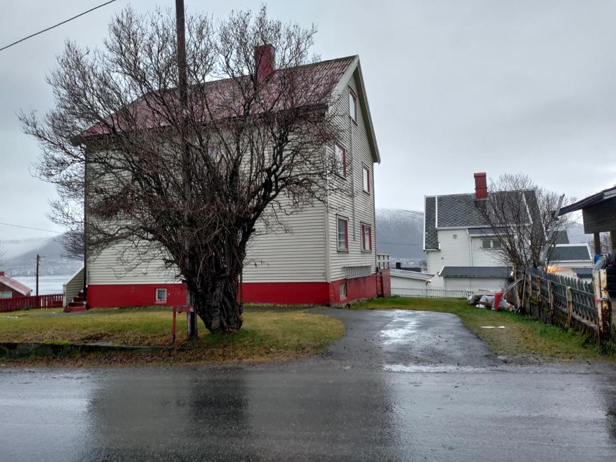 Central Apartament (Adults Only) Tromso Ngoại thất bức ảnh